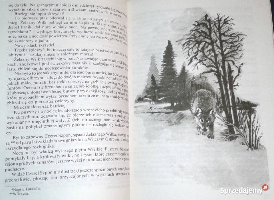 Żelazny wilk Tytus Karpowicz Chełm