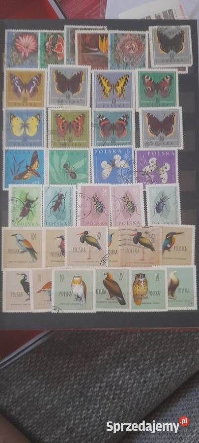 Klaser ze znaczkami wielkopolskie Czarnków