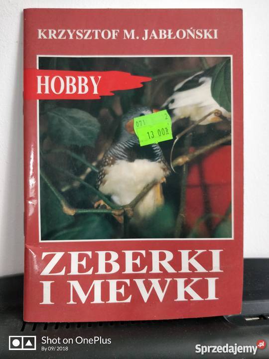 Książka zwierzęta ptaki Zeberki i Mewki Nysa