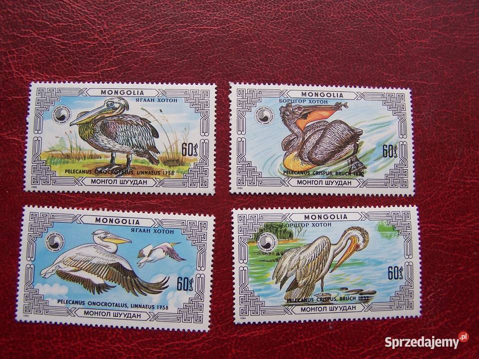 Mongolia 1986 MNH Mi 181114 Fauna Ptaki Pelikan Tychy sprzedam