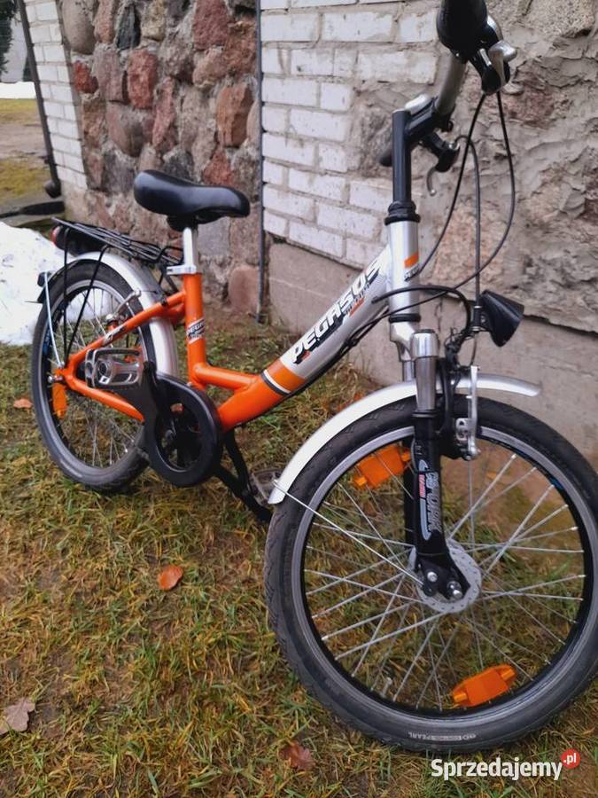 Pegasus 20 nexus 7 Pisz