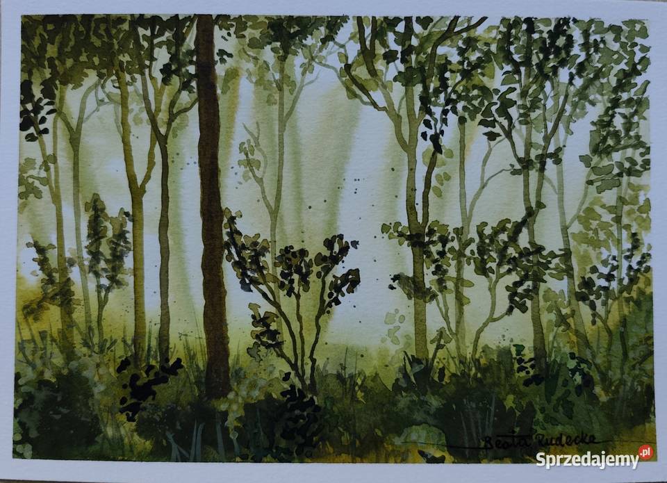 Akwarela Akwarelka Obraz pt Pomiędzy drzewami sprzedam