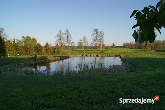działka rekreacyjna stawem pomorskie Grabowiec
