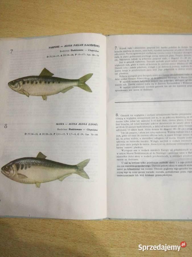 Atlas Ryby wód polskich Lublin
