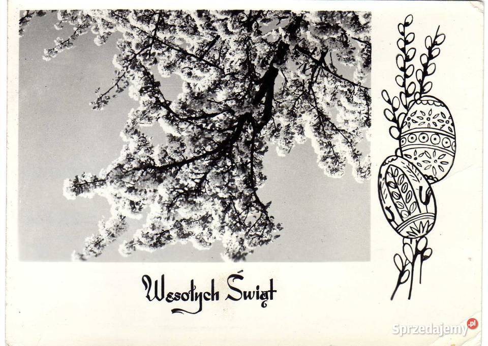 POCZTÓWKA OKOLICZNOŚCIOWA ŚWIĘTA CZARNO BIAŁA Krynki