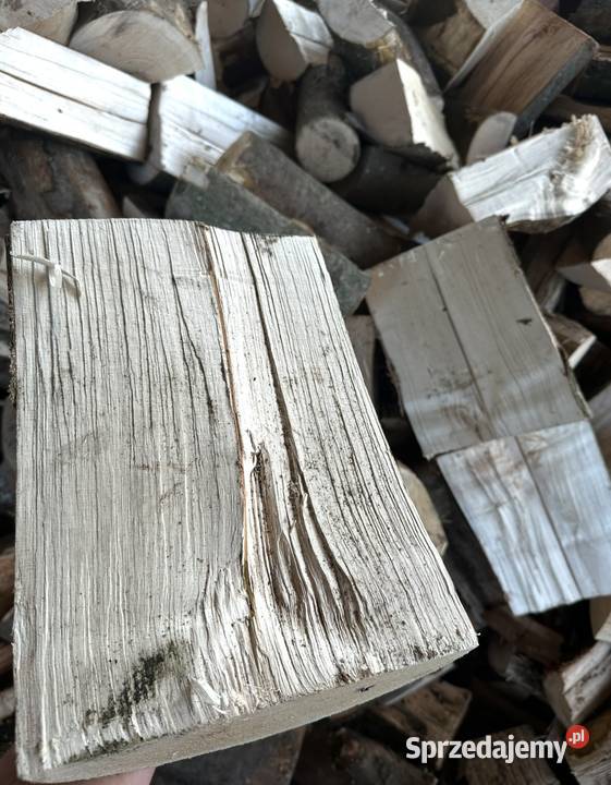 Drewno kominkowe opałowe Sezonowane Koszalin sprzedam