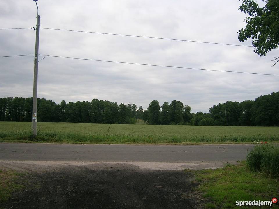 Sprzedam Siedlisko Grunty i działki Kampinos sprzedam