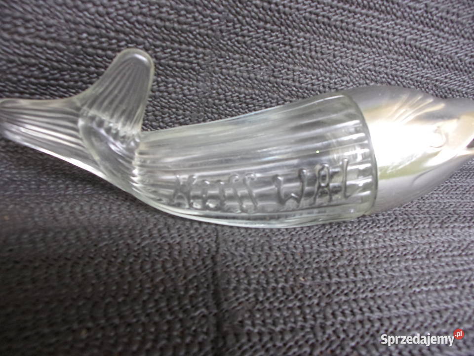 Piekny stary Wielory z otwartą paszczą szkło Warszawa