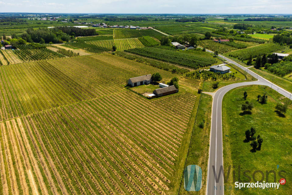 sprzedaży gruntu 56500m2 Józefów 290m Nieruchomości