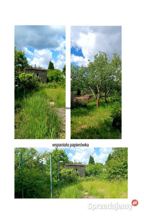 Ogródek działkowy na ROD Piwonia 294m2 30zł/m2 dolnośląskie Wrocław