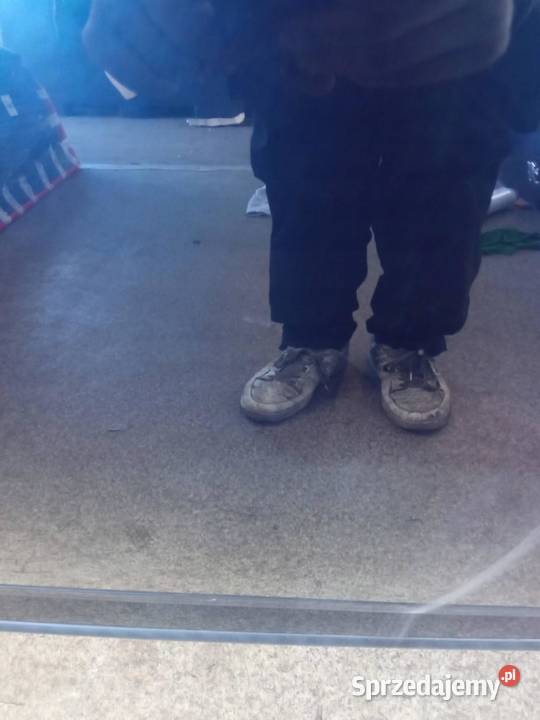 DRZWI PRAWE PRZÓD KPSC Peugeot 3008 I 2008 sprzedam