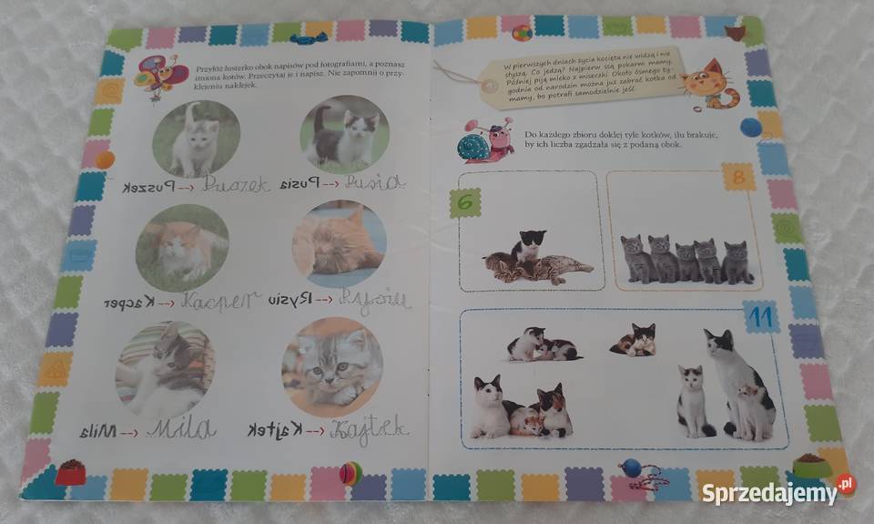 Ulubione koty Aksjomat 2013 Książeczki dzieci śląskie Czeladź
