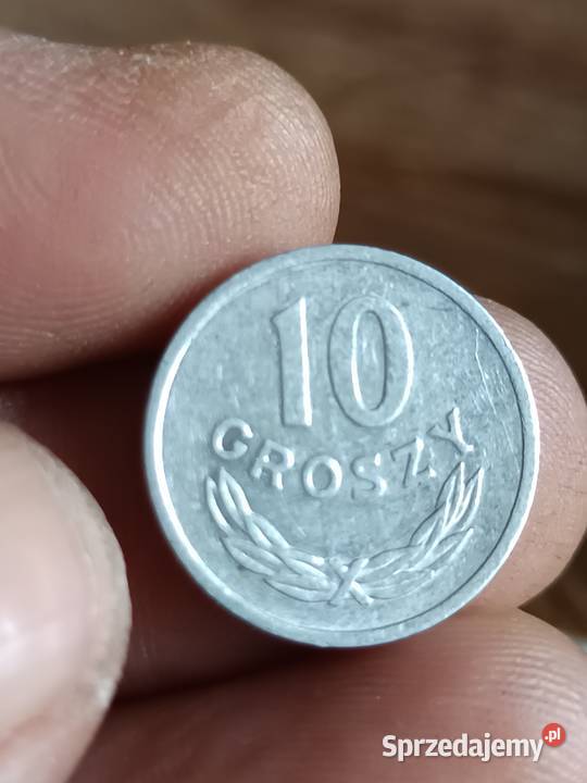 Sprzedam 10 gr 1949 Numizmatyka Chełm