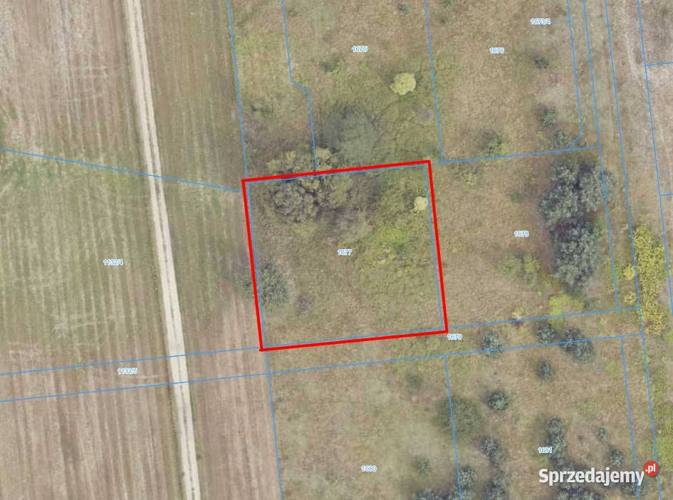 Działka budowlana Wilków 01005 ha Konin