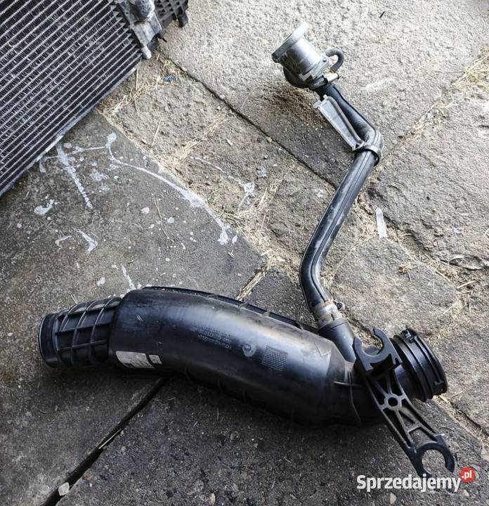 Odma olejowa Mercedes świętokrzyskie