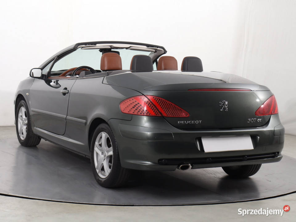Peugeot 307 20 16V