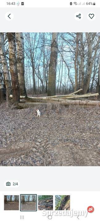 Drewno opałowe kominkowe liściaste ogień sprzedam