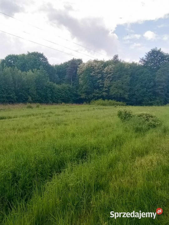Grodzisko Dolne Działka pod lasem 4720 ar z WZ Sprzedaż