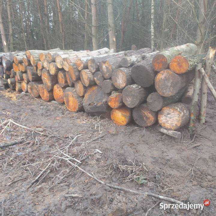 TANIO Olcha Kominkowe opalowe do wędzenia Bolesławiec