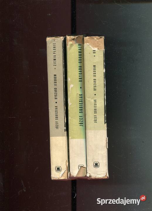 Burzany Brygada Grunwald Ziemia płonie Sobiesiak Rok wydania 1966 Szczecin