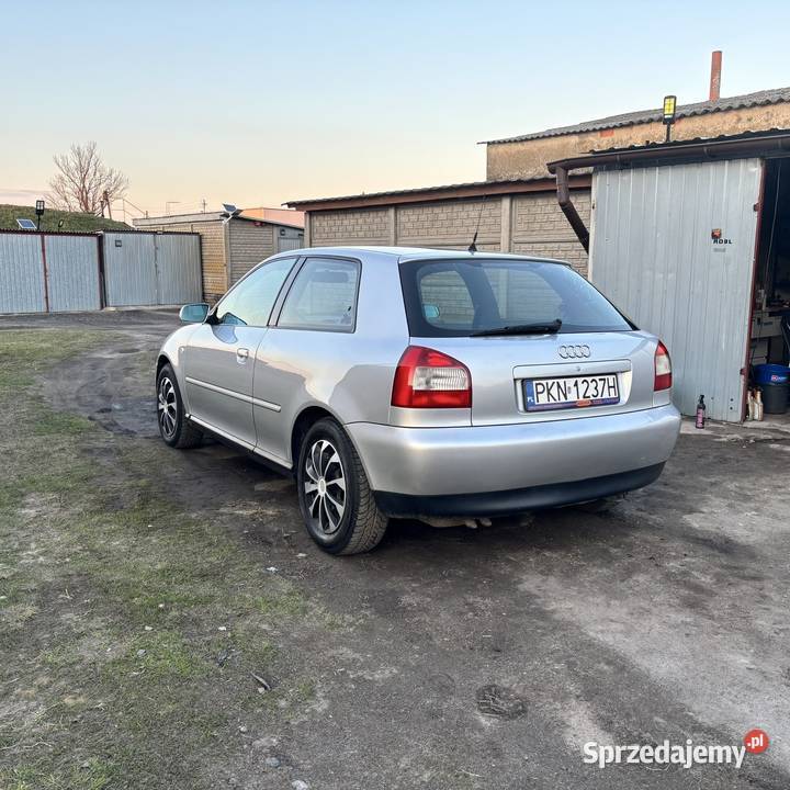 AUDI A3 8L Wilczyn