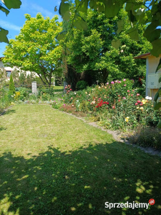 2 zlaczone dzialki budowlane calosc na sprzedaz Sprzedaż Boguchwała sprzedam