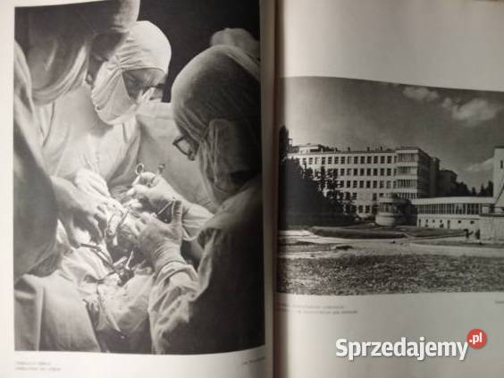 Cztery pory roku Bałukowie Polska fotografia łódzkie Łódź