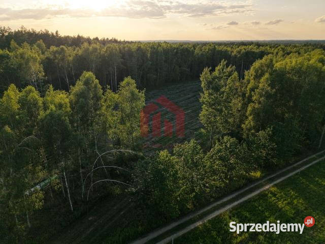 Działka 900m2 Czarna Sędziszowska Sprzedaż podkarpackie