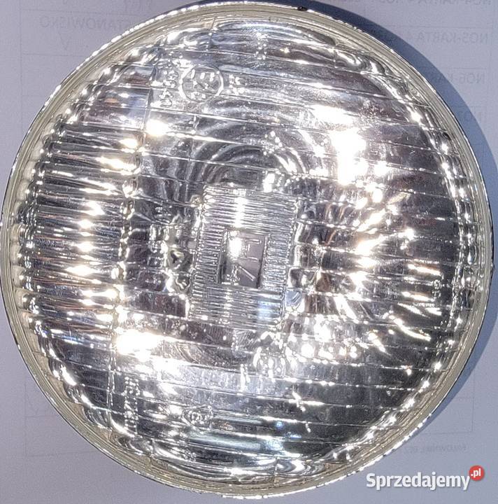 Element optyczny Fiat Polonez Star osobowe Mokre sprzedam