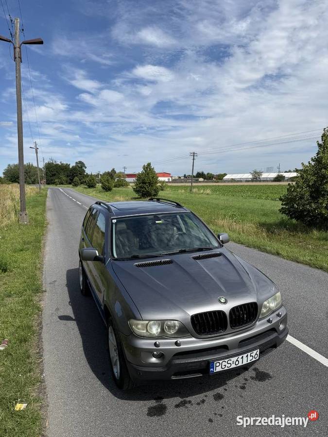 Bmw x5 e53 Borek Wielkopolski