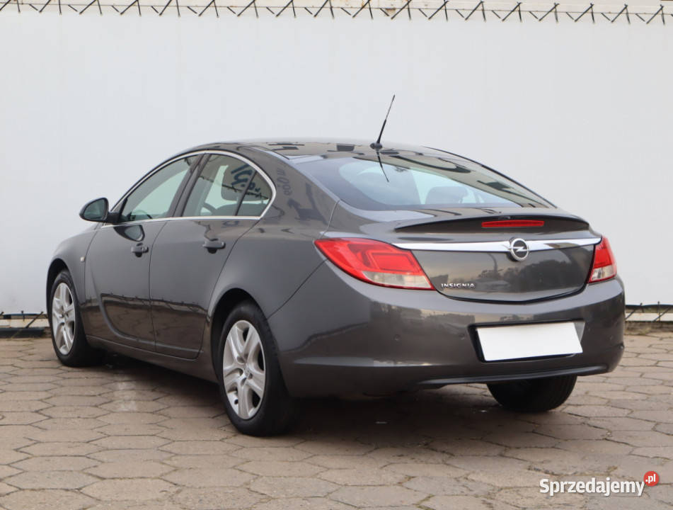 Opel Insignia 18 nieuszkodzony