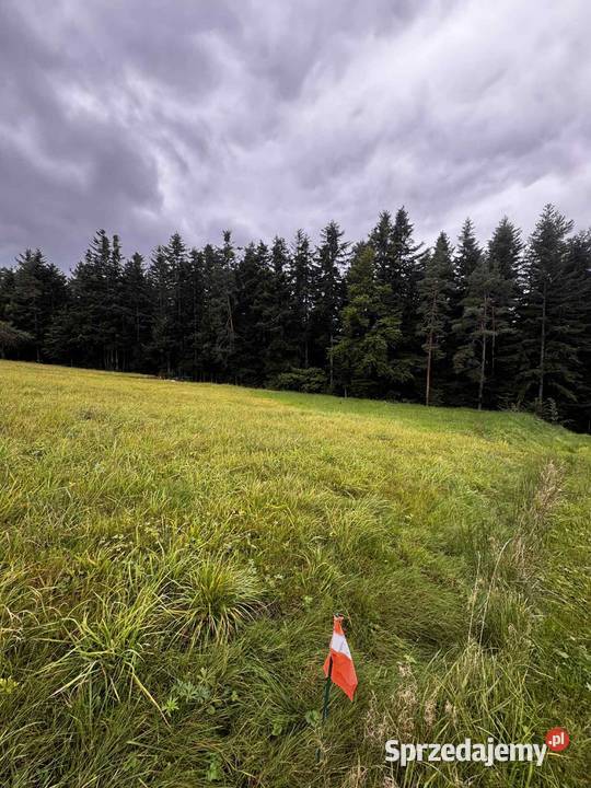 Działka budowlana Podłopień 1196 m gmina Tymbark małopolskie