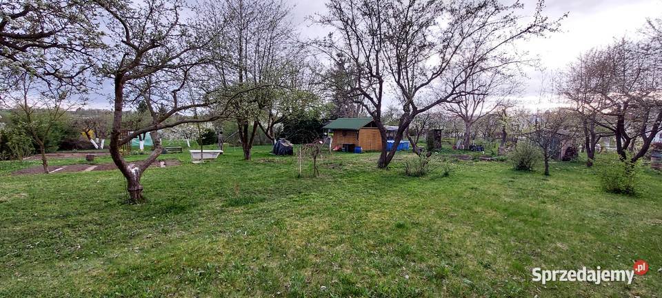 Działka ROD Targowa