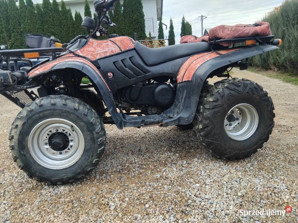 Duży quad Linhai 265 wyciągarka hak Konina
