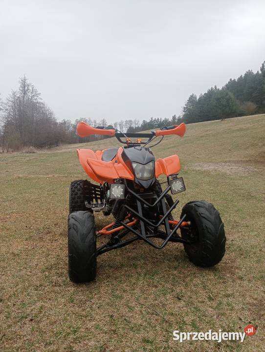 Sprzedam Bashan 200 Małogoszcz