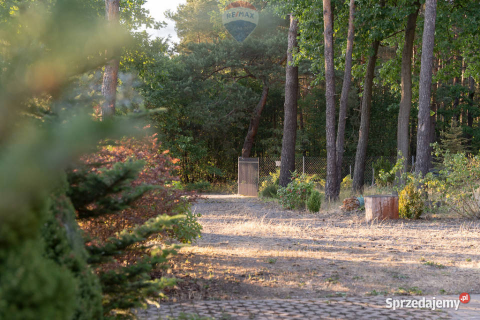 Działka leśna z domkiem na sprzedaż Rozniszew