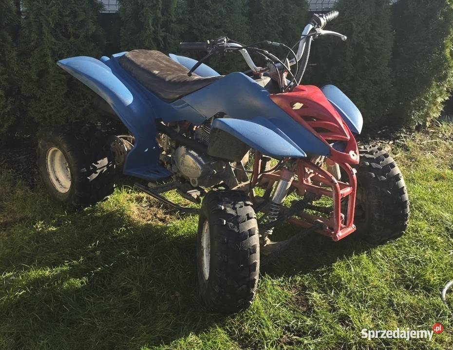 Bashan 200250 quad