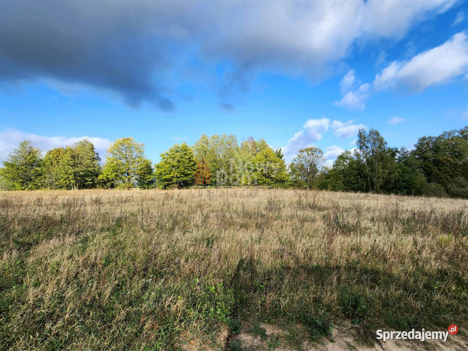 Sprzedaż gruntu 3001m2 Rydzewo asfalt sprzedam