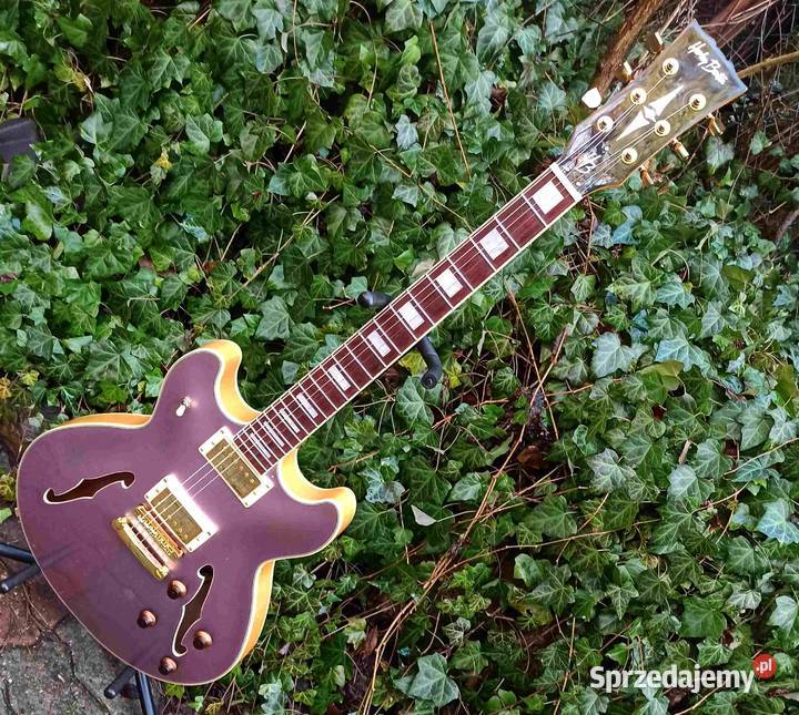 Gitara elektryczna Hollow Body HB35Plus Metallic elektryczna łódzkie sprzedam
