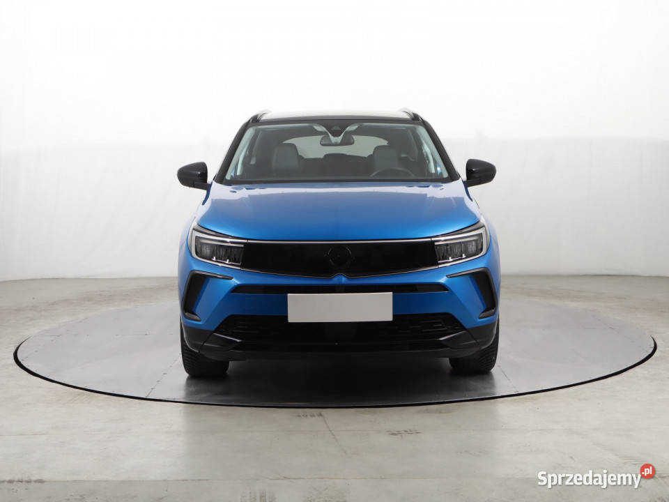 Opel Grandland 12 Turbo 96KM śląskie Katowice