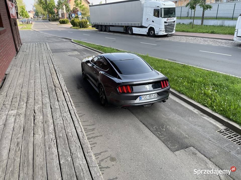 Ford mustang 37 305 Zdrój