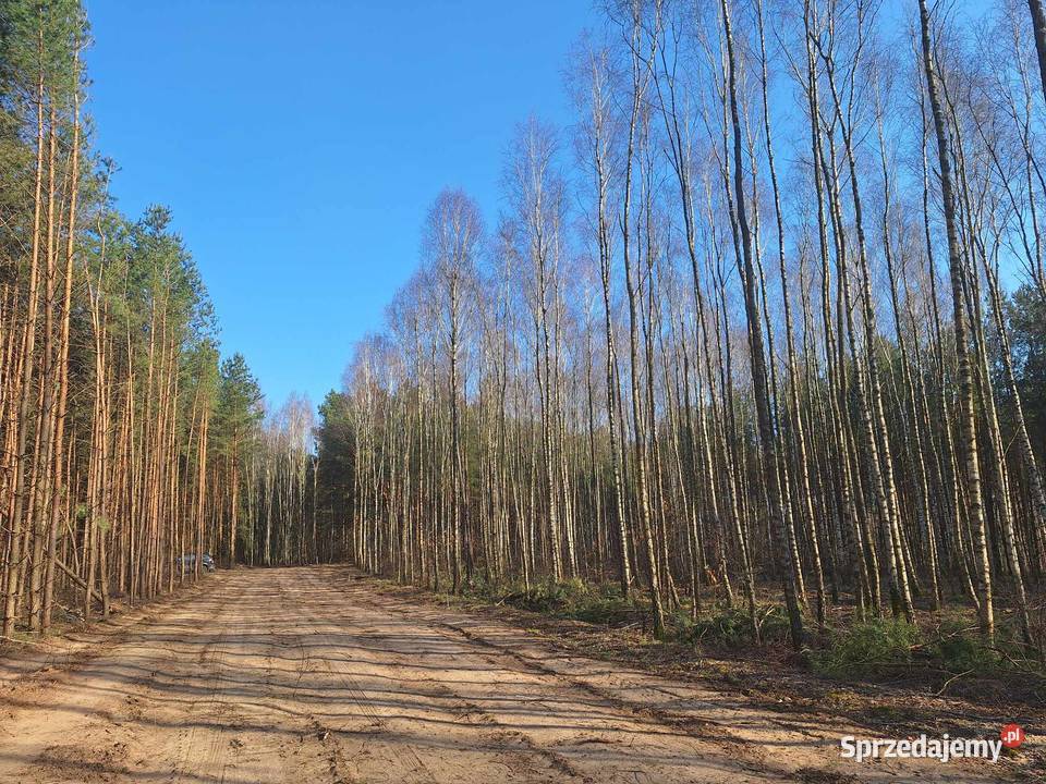 działka rekreacyjna Świecie Drwęcą kujawsko-pomorskie sprzedam