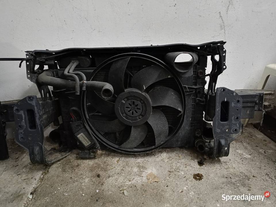 Pas przedni Mercedes CLK W209 Pasy przednie i tylne