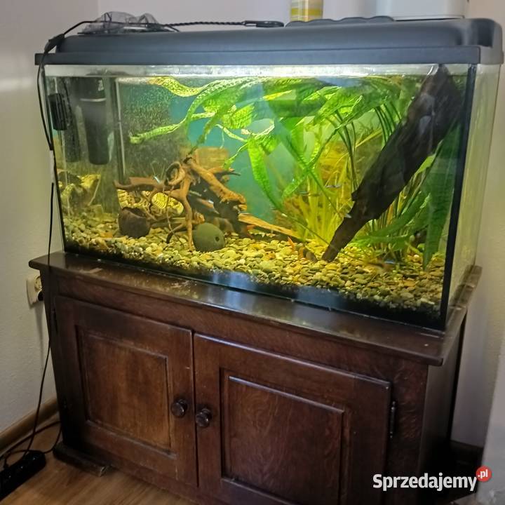 Akwarium 240 l