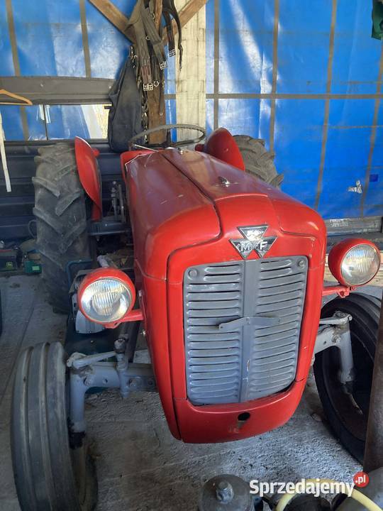 Massey Ferguson 35 Rok produkcji 1956 wielkopolskie