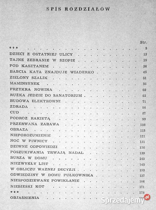 Żegnaj wielka tajemnico Mira Aleckovic twarda Chełm