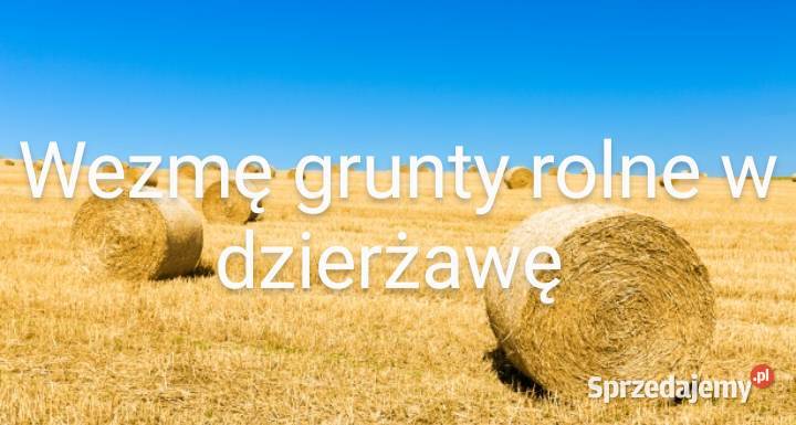 Wydzierżawię grunty rolne, łąki