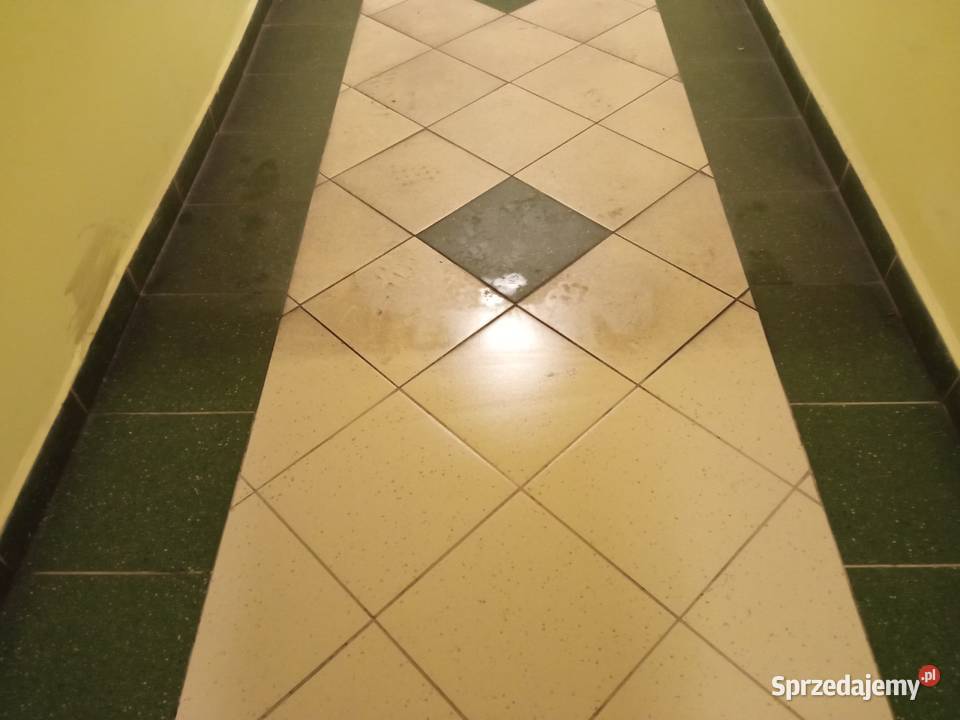 Maszynowe czyszczenie posadzki Pruszcz Gdański