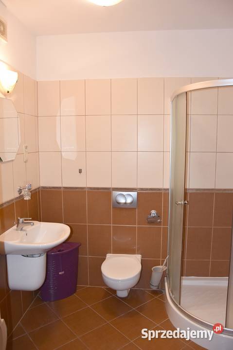 Muchobór Hlaski Przestronna kawalerka 40m2 Liczba pokoi 1 Wynajem Wrocław sprzedam