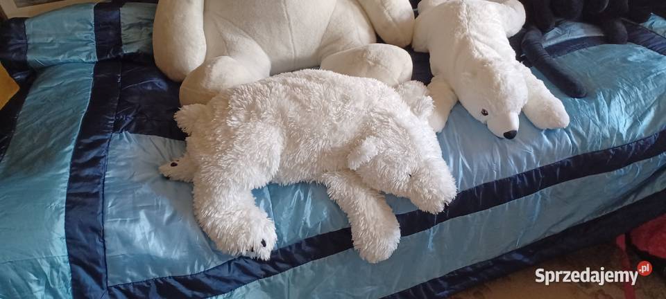 NIEDŻWIEDZIE POLARNE WIELKI CIĘŻKI MIĘKKI I 2 wielkopolskie Poznań sprzedam